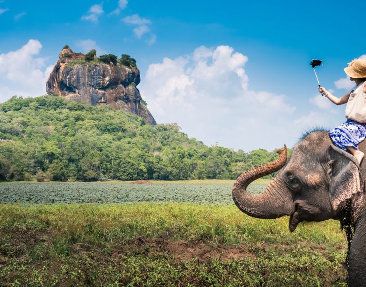 Elephant in Sigiriya lion rock, Sri Lanka.