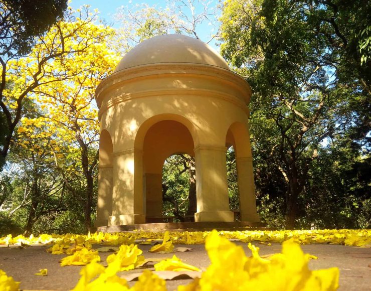 Royal-Botanical-Gardens-Peradeniya