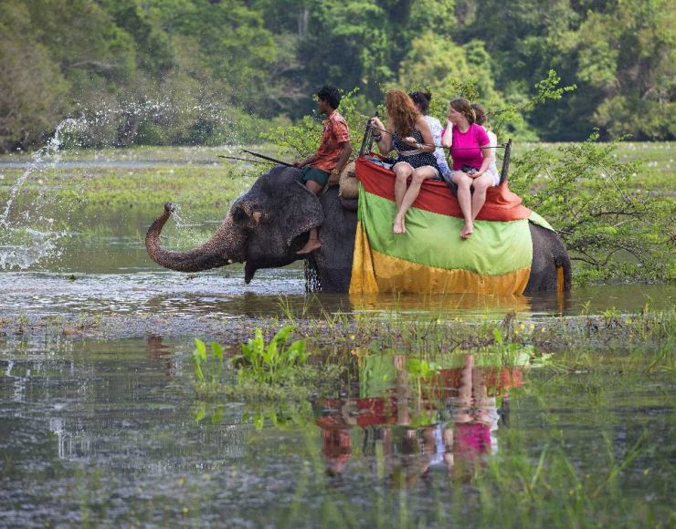 Sigiriya-elephant-rides
