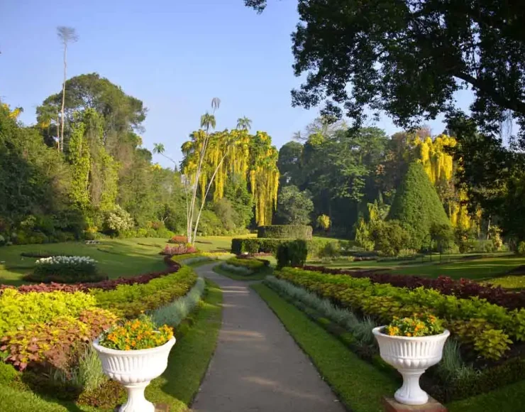 botanical-garden