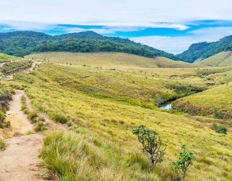 horton-plains-sri-lanka