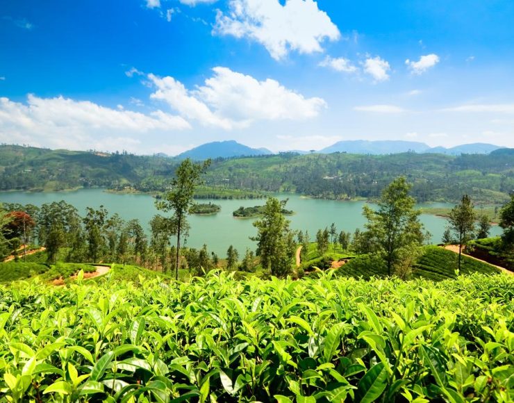 nuwaraeliya
