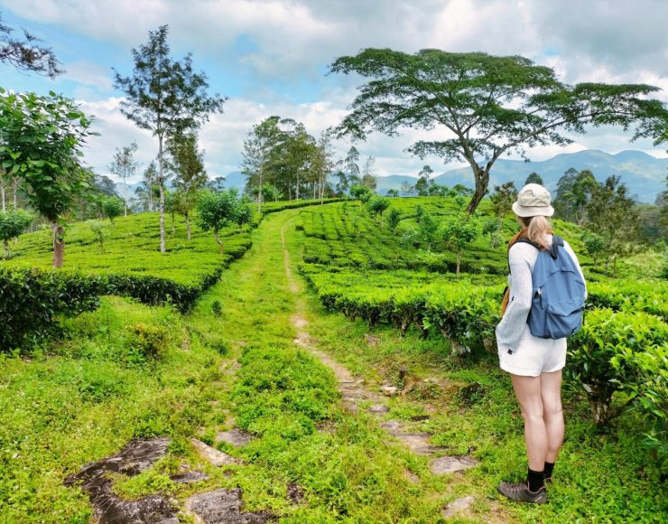 sustainable-Tourism-in-Sri-Lanka